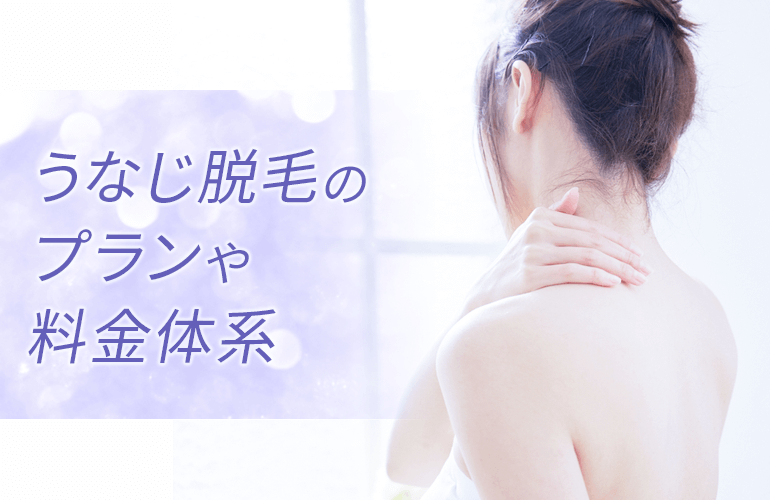 うなじ脱毛のプランや料金